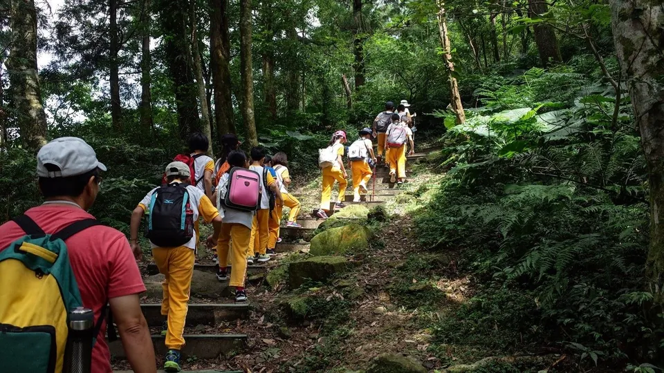 東眼山自然教育中心