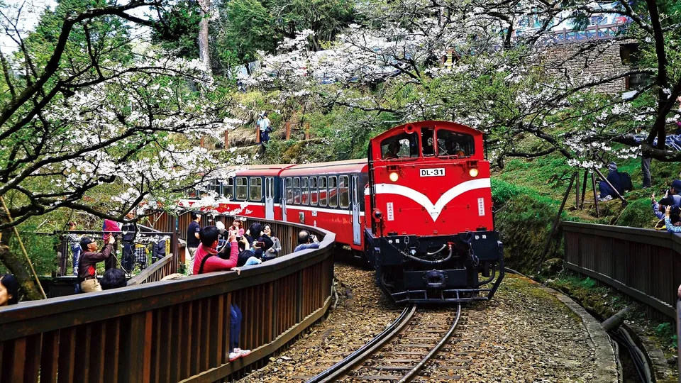 阿里山林業鐵路