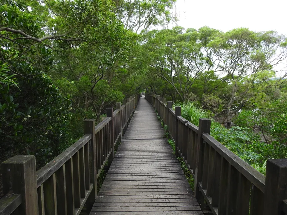 紅樹林生態教育館