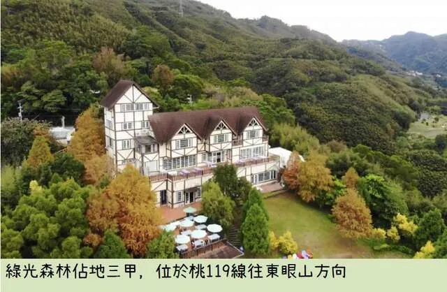 綠光森林