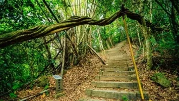 藤坪古道