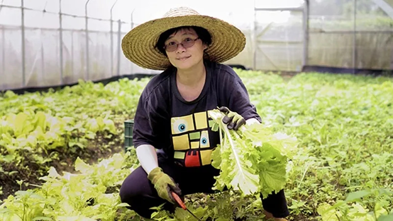 力量菜園
