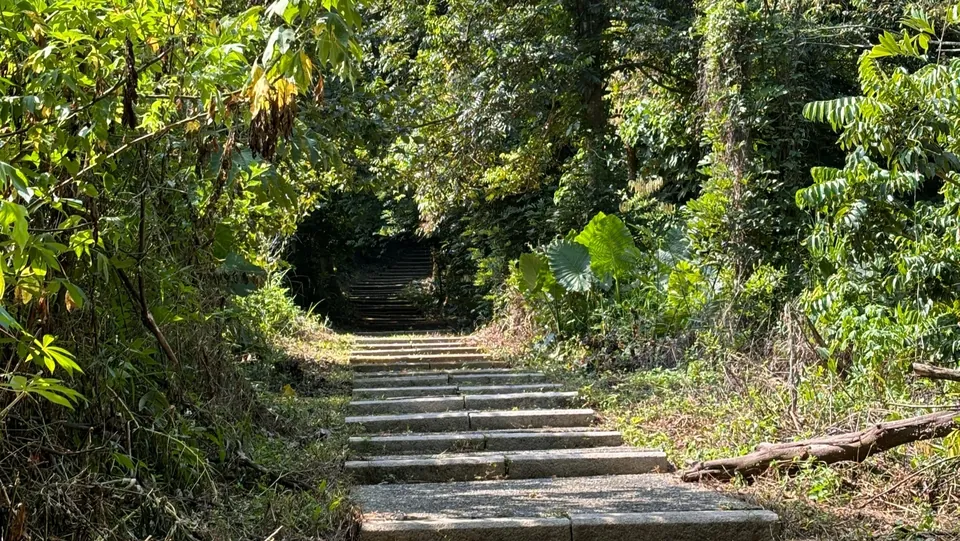 大分林步道