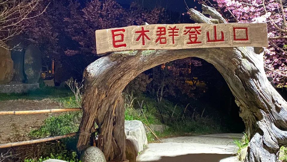 司馬庫斯巨木群步道
