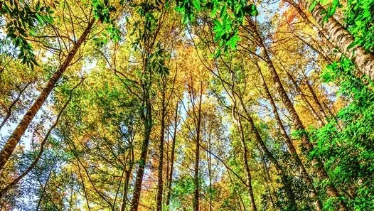 霞喀羅古道