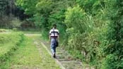 上瑞步道