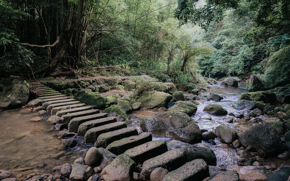 四寮溪生態步道