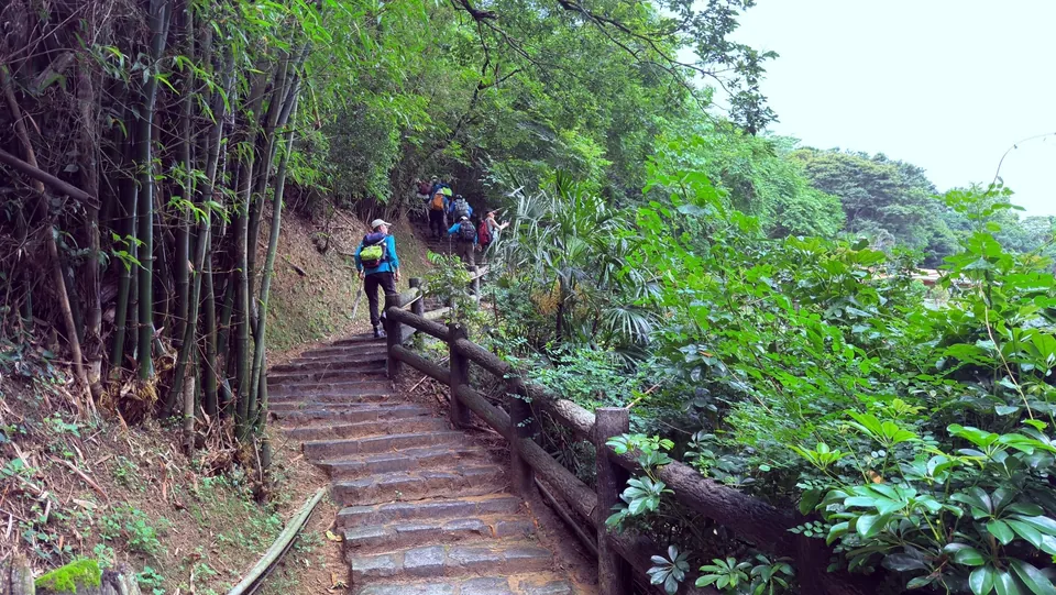 照門步道群–九福步道
