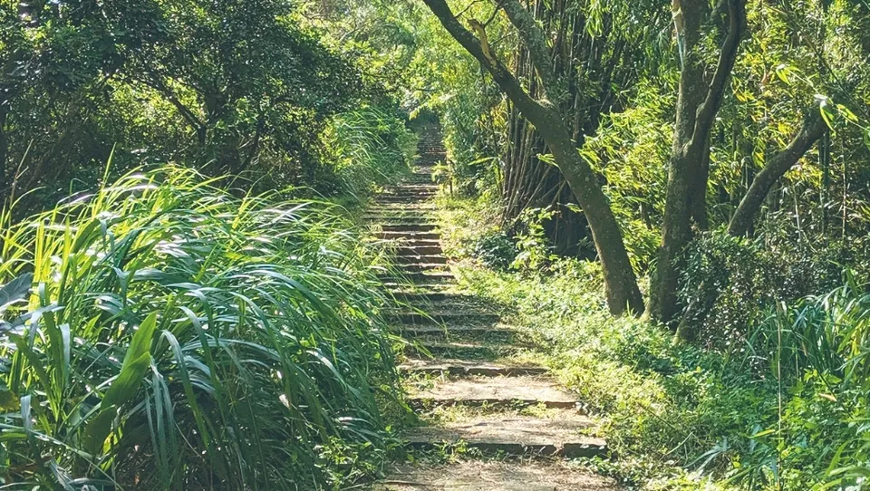 照門步道群–霽月步道