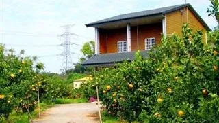 背影橘舍觀光果園