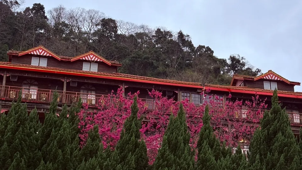 萬瑞森林樂園