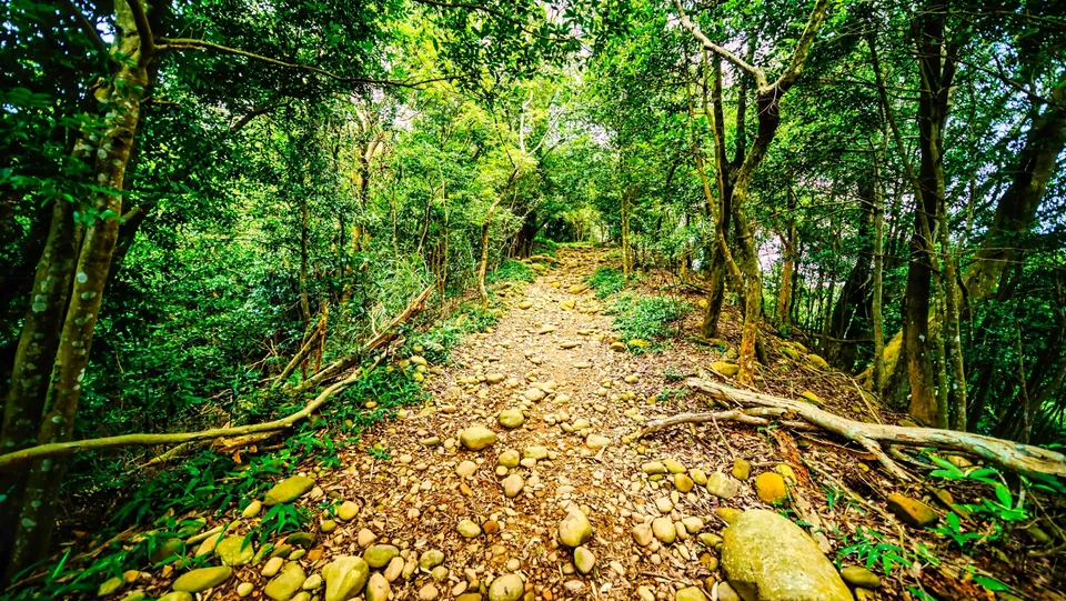 飛龍步道