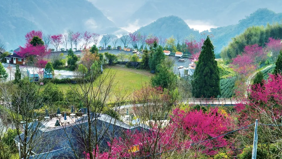 山上人家森林農場