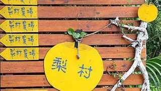 新埔梨村農場