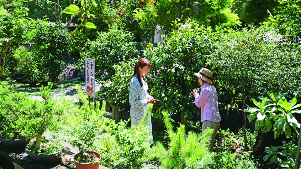 金谷農場