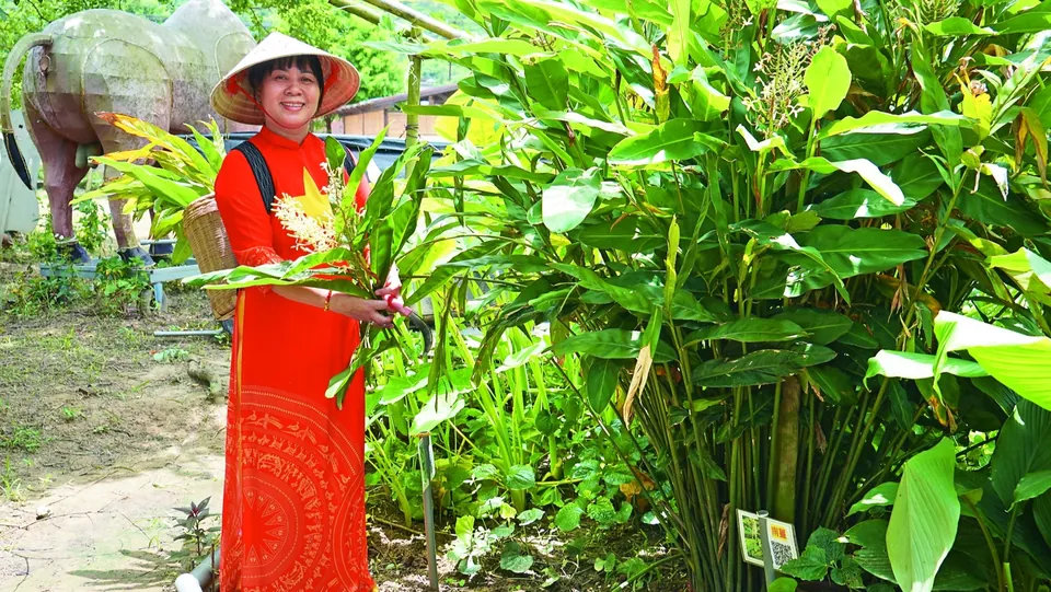 內立社區-茗香弄草香草園