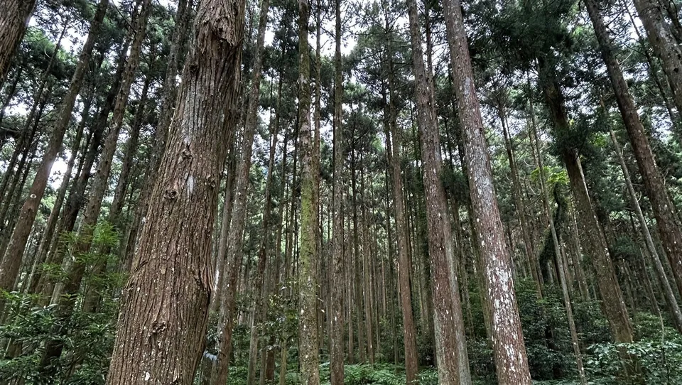 外鳥嘴山