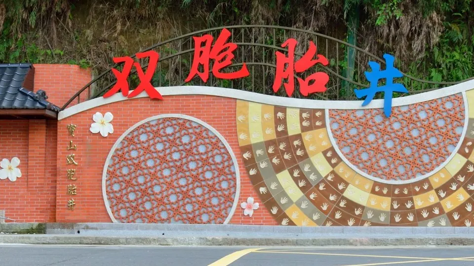 雙胞胎井