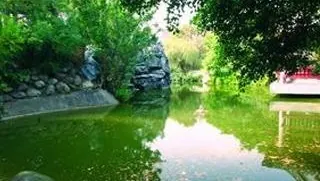 縣福園公園