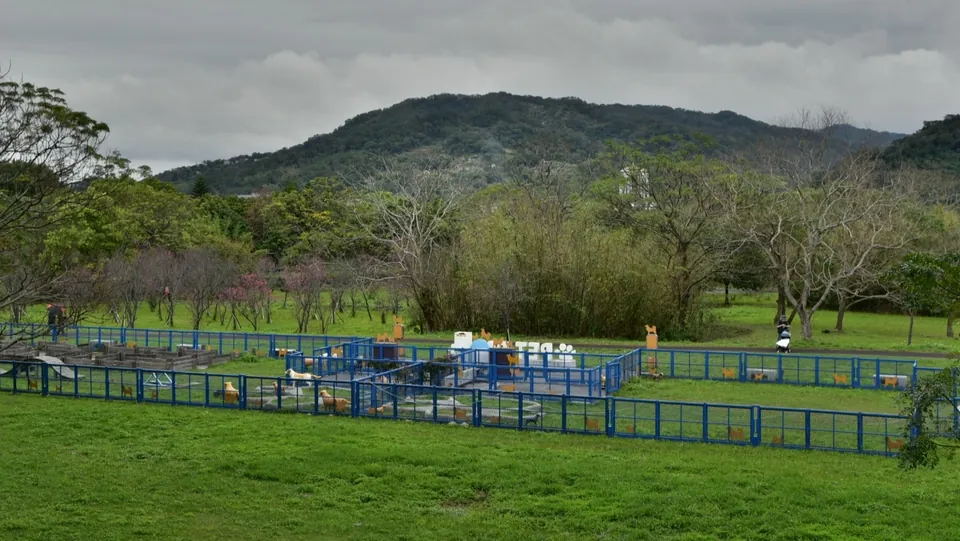 竹東寵物運動公園