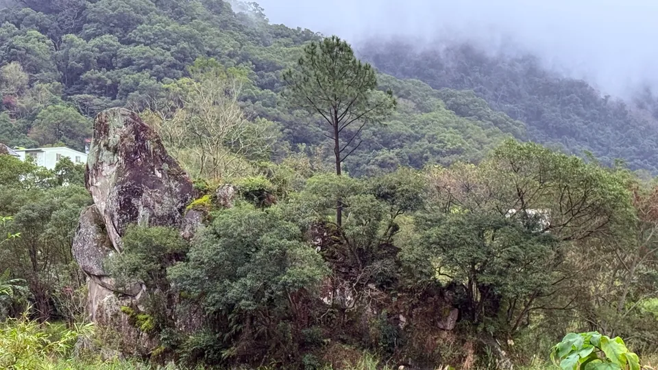 尖石岩