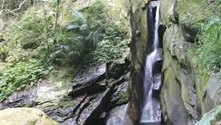 水田部落
