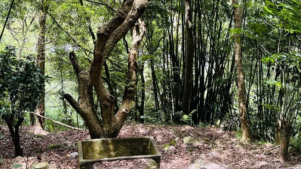 渡南古道