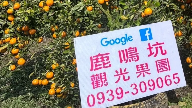 鹿鳴坑綜合觀光果園