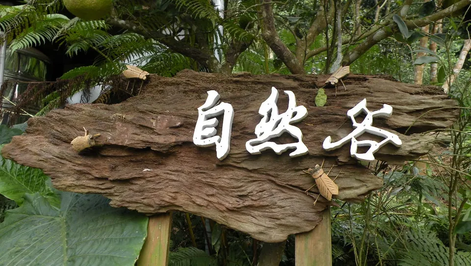 自然谷環境信託基地