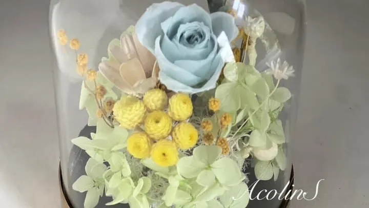 艾可花弄 Acolin S