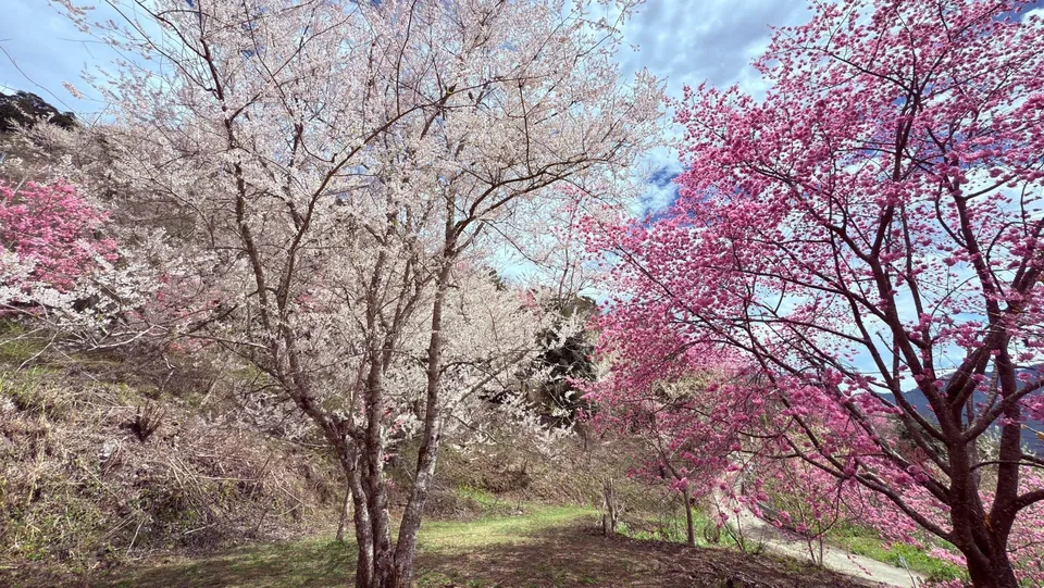 萬里山園