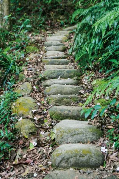 挑炭古道