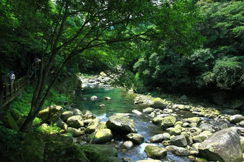 蓬萊溪護魚步道