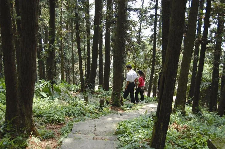 仙山登山步道