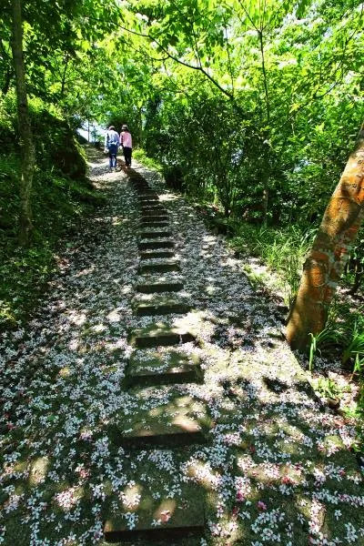 鹿廚坑步道