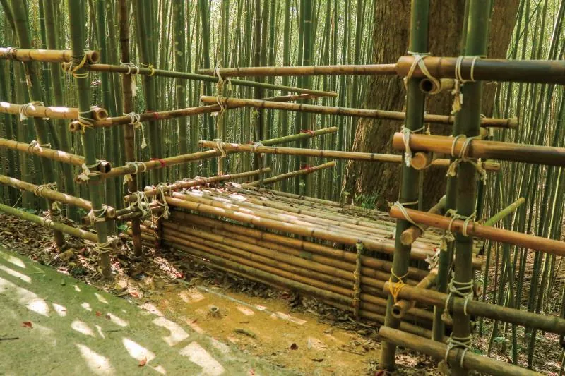 烏嘎彥竹林