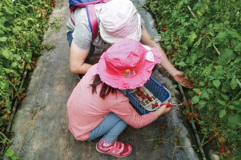 荳媽媽休閒果園