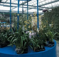 展壯台大蘭園