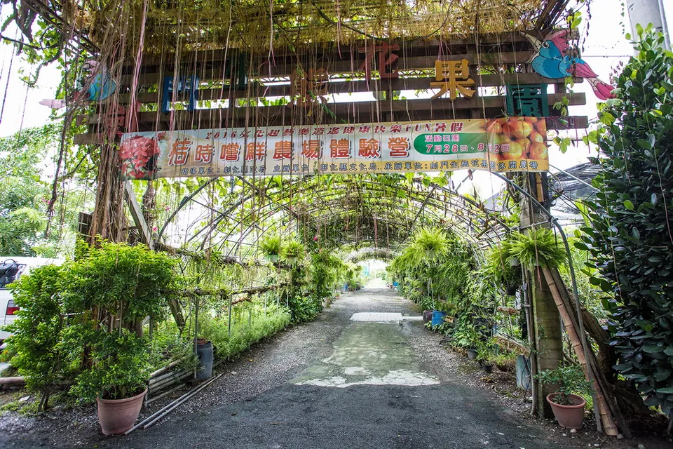 劍門生態花果園