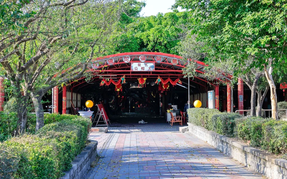 九龍大榕公
