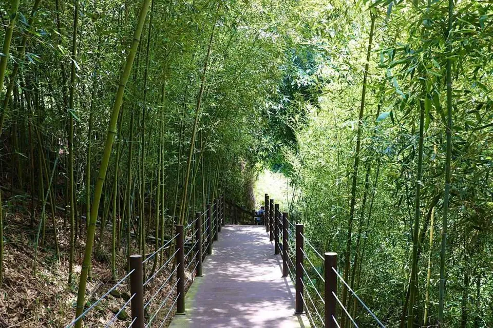瑞龍瀑布園區