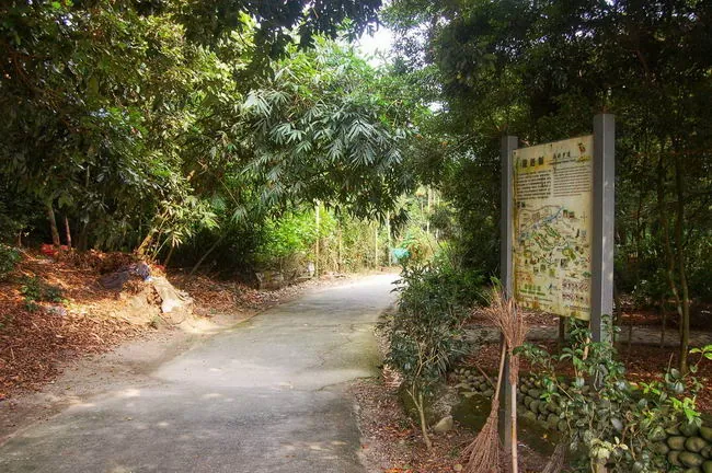 龍過脈步道