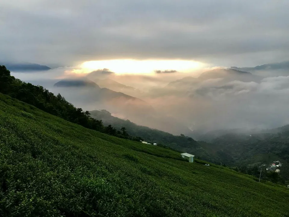 樟湖地區