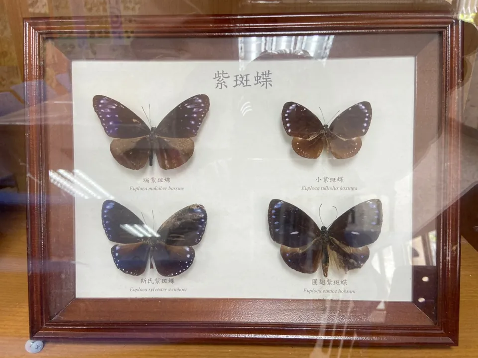 雲林縣蝴蝶故事館