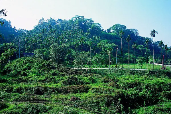 草嶺地質體驗區