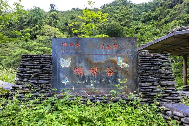 桃源村蝴蝶谷