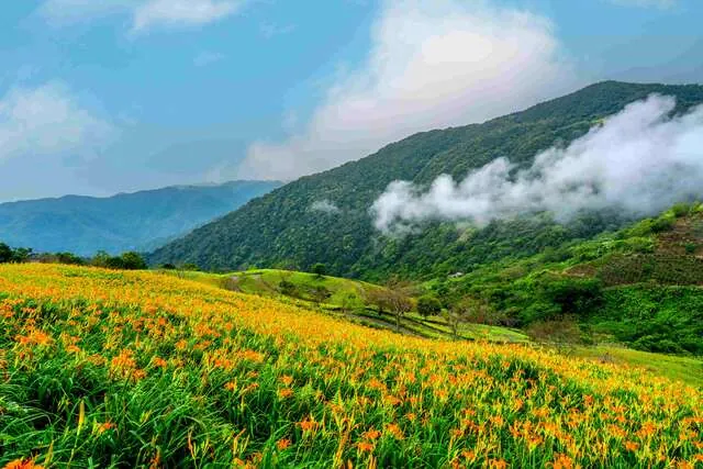 太麻里金針山