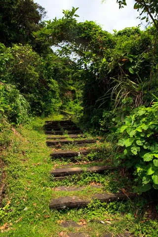 過山古道