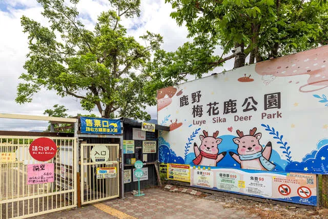 鹿野梅花鹿公園