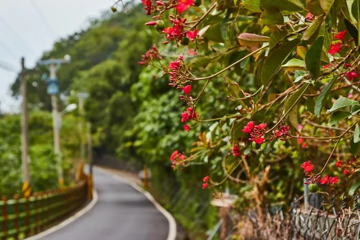 楓林步道 看見花蓮